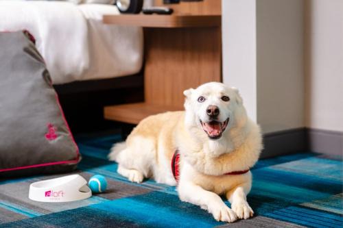 Banff Trail Hotel | Aloft by Marriott Calgary University