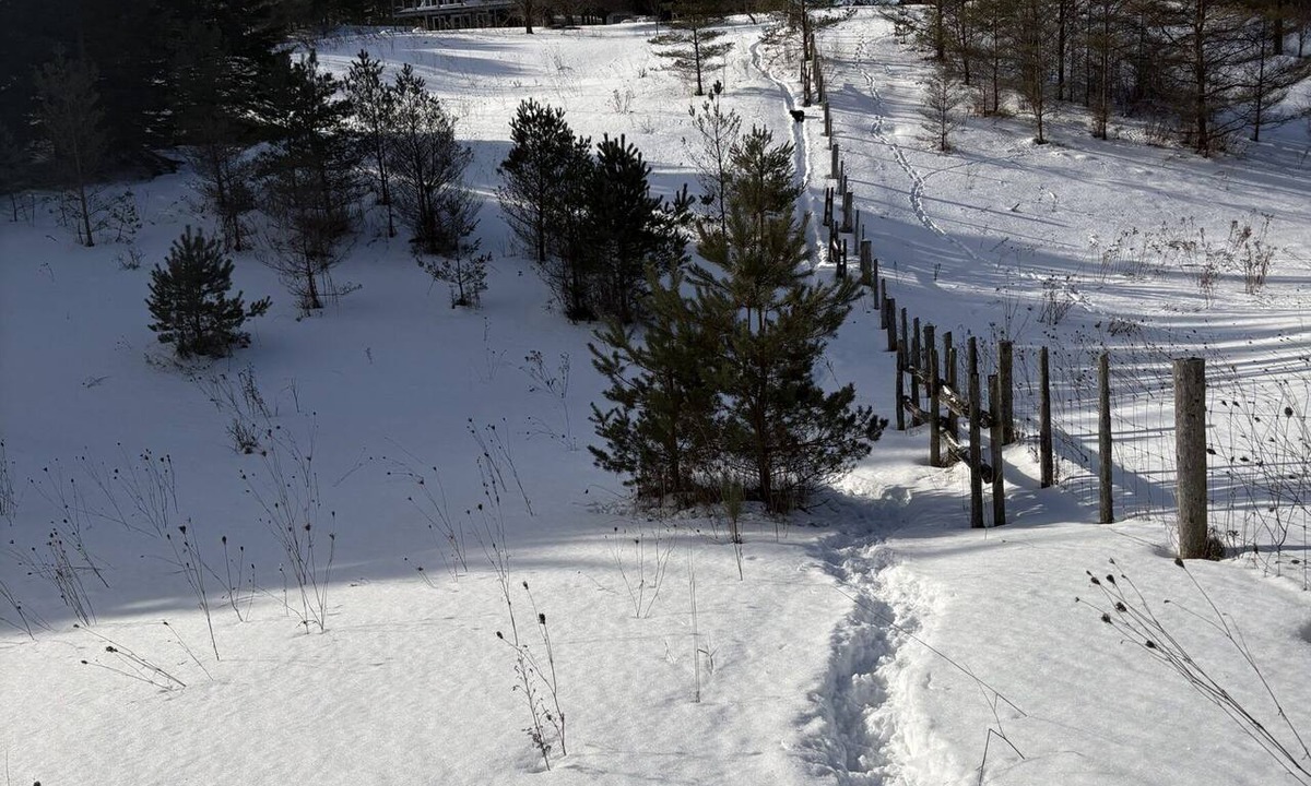 Flesherton House | Beautiful chalet 11 minutes from BVSC, ski season (Dec-March, dates negotiable)