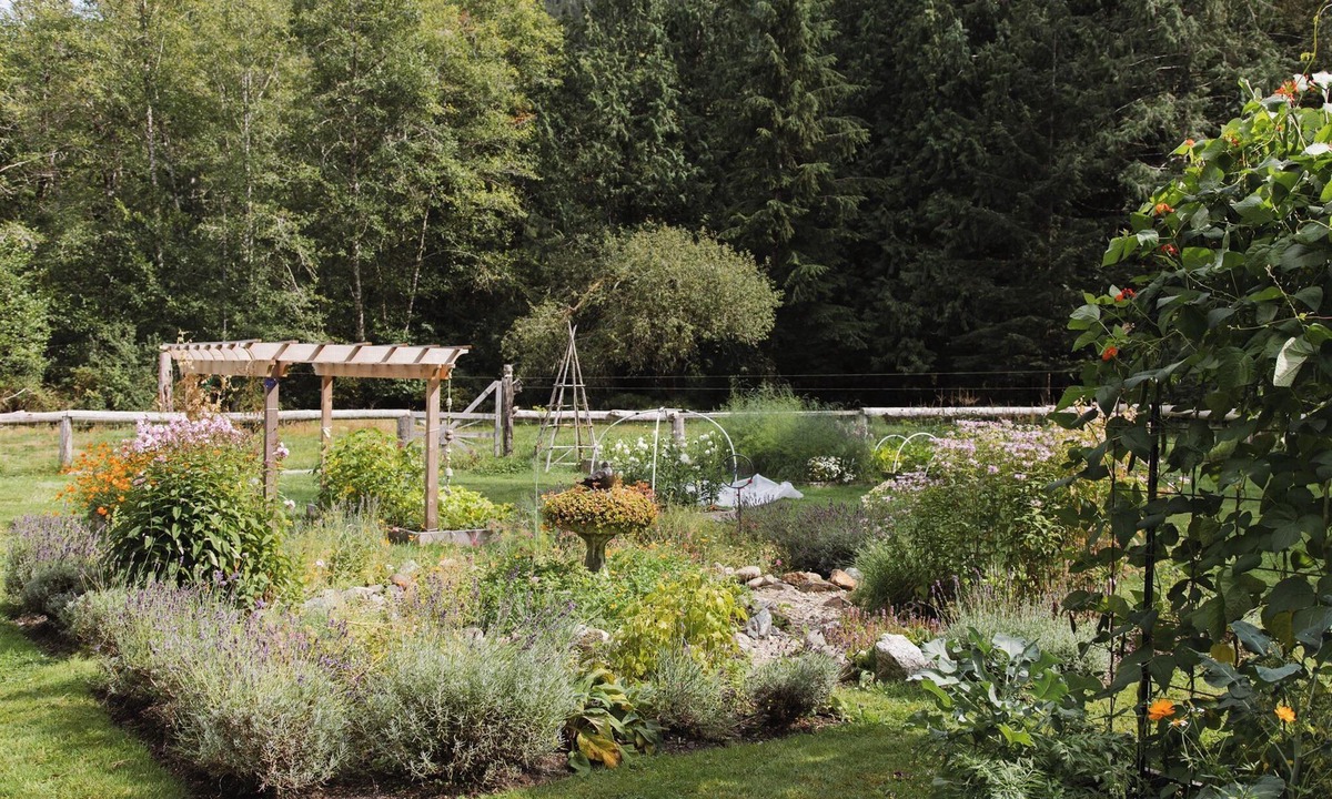East Thurlow Island Cottage | Oceanfront Little Wren wilderness cabin with spectacular view.