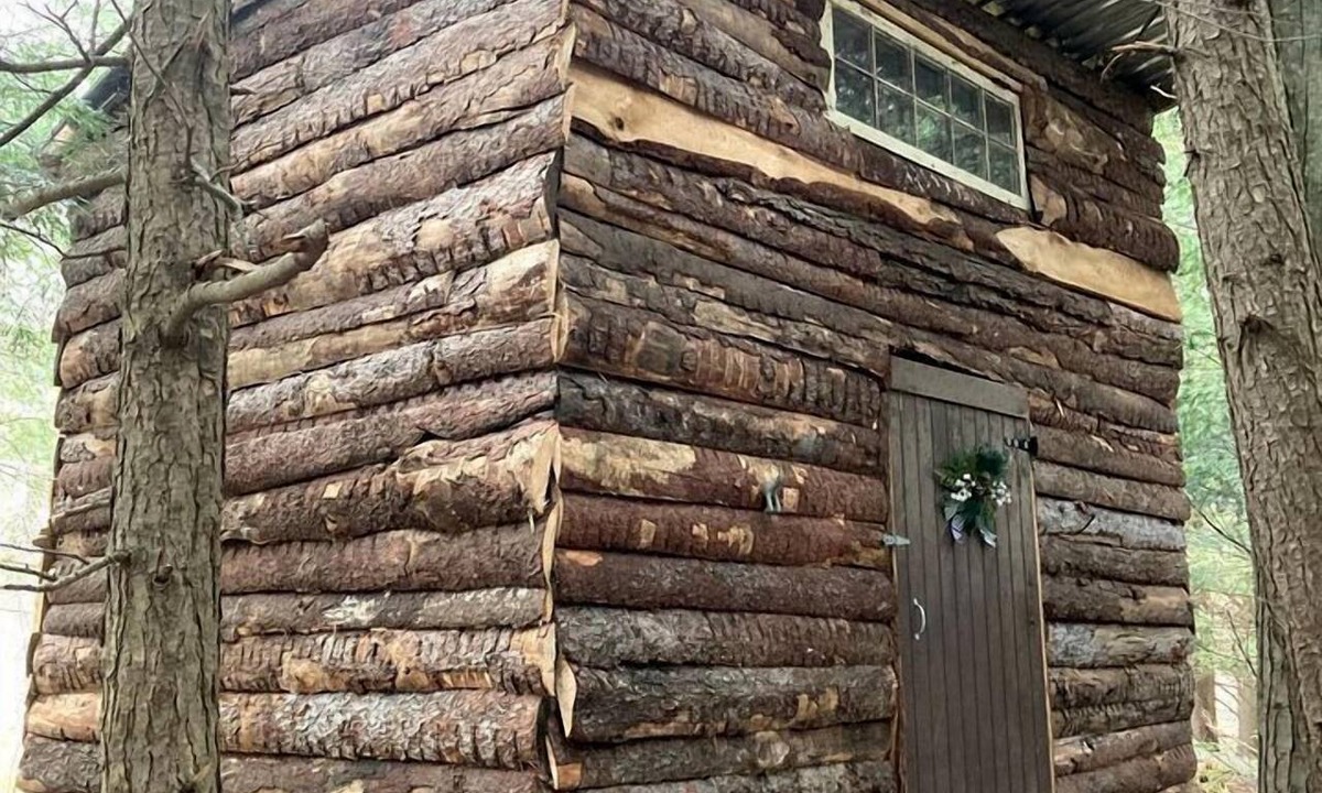 Markdale Cabin | Cute Wooden Cabin with Pond Views in Ontario