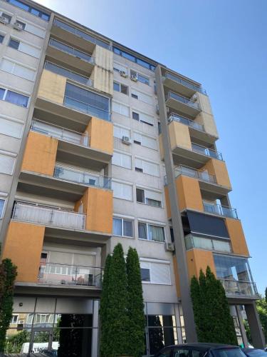 Emanoil Gojdu Apartment | Dulcinea Life