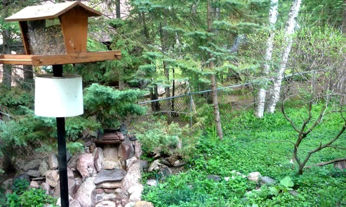 Wasaga Beach Cottage | Family-Friendly Cottage Rental for Eight Guests in Wasaga Beach, Ontario