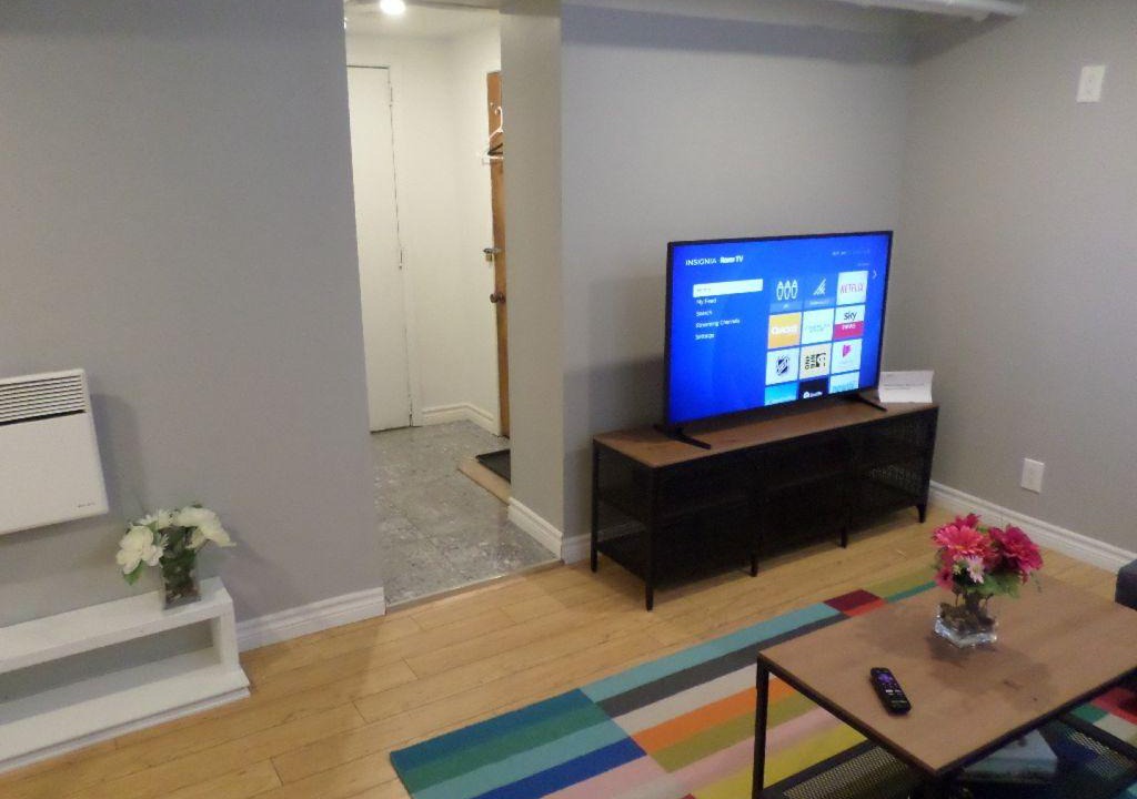 Centretown Apartment | Fantastic and Modern Downtown 1-Bed Basement Apt. Parking, WiFi and Netflix included.