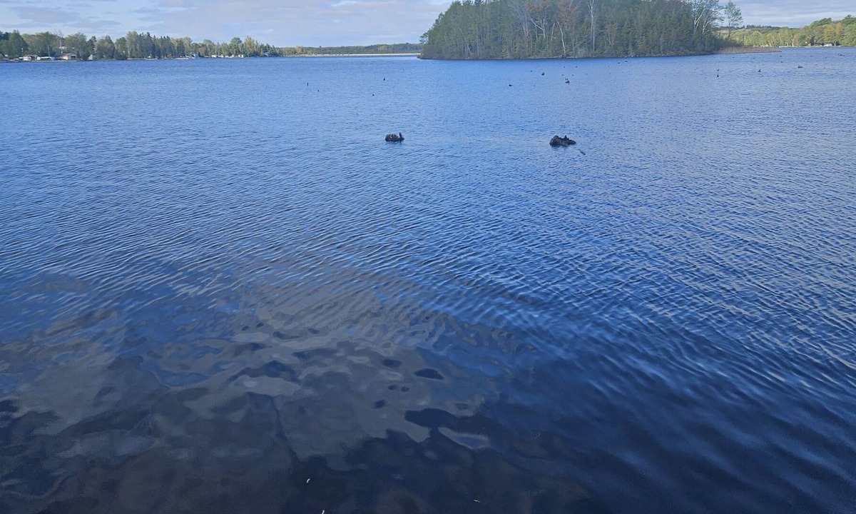 Victoria Road House | Lakefront trailer for rent, in Kawthra Lakes, on 1 acre of land