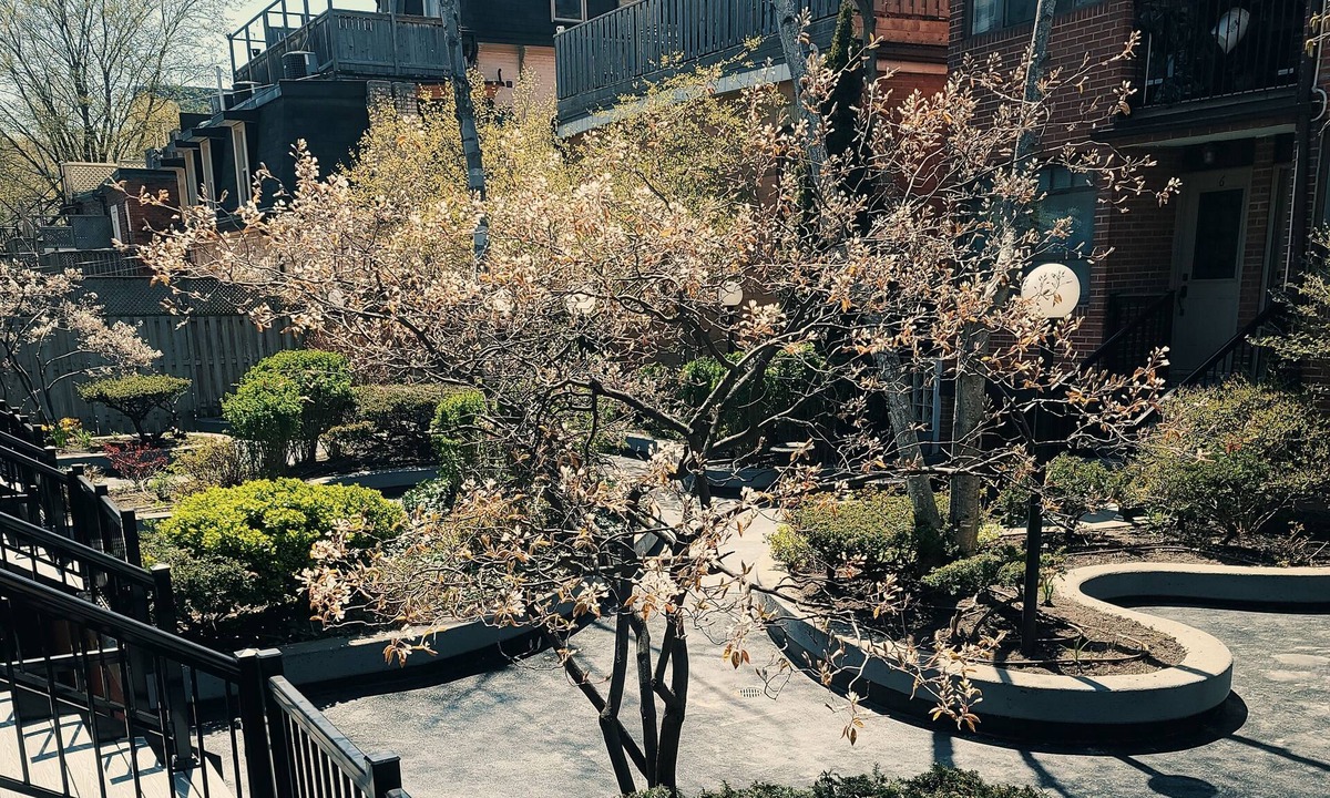 Downtown Toronto Apartment | Large downtown Toronto townhouse. Perfect for large groups and families!