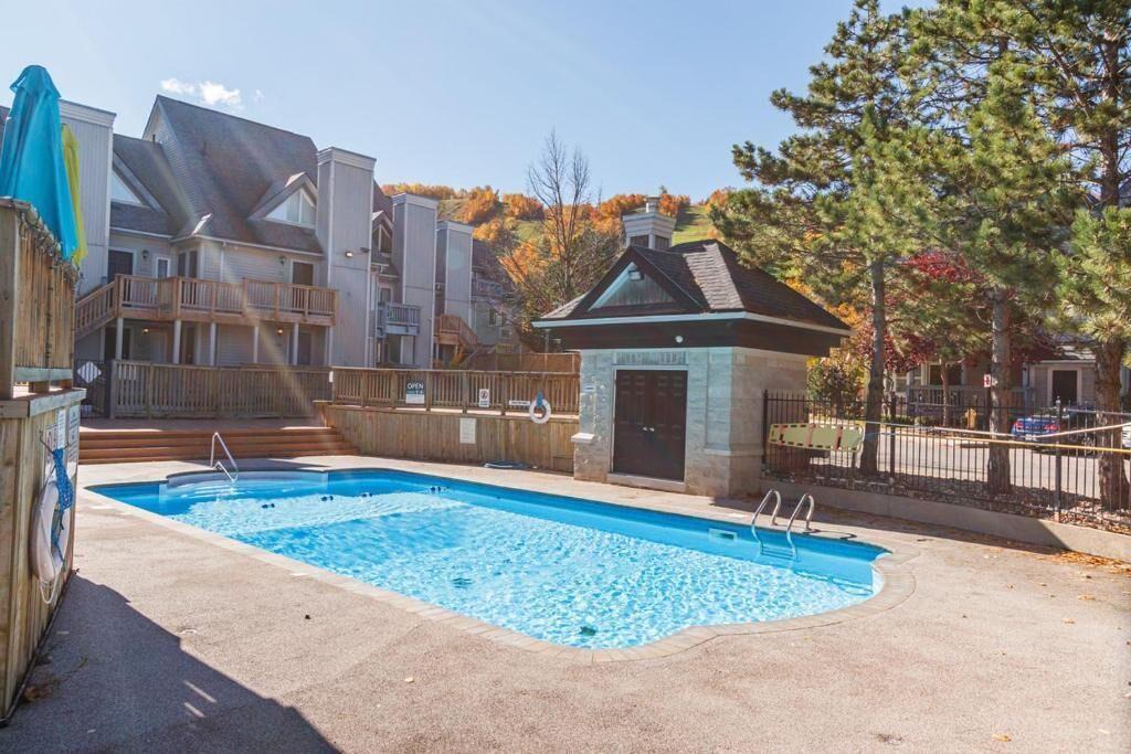 Craigleith Condo | Mountainside Studio Bliss: Steps to Slopes, Renovated, Pool, 2 Hot Tubs, Tennis