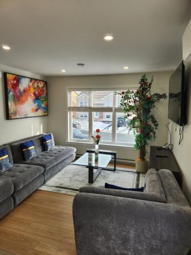 St. John's Apartment | Naya Kozy
