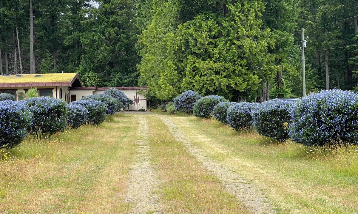 Denman Island House | Otter Lake B&B, Denman Island, BC, Canada family friendly, coastal
