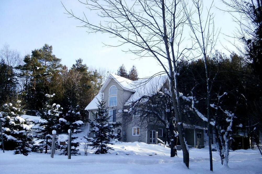 Flesherton Cabin | Peaceful Bed and Breakfast Accommodation by Eugenia Falls near Flesherton, Ontario