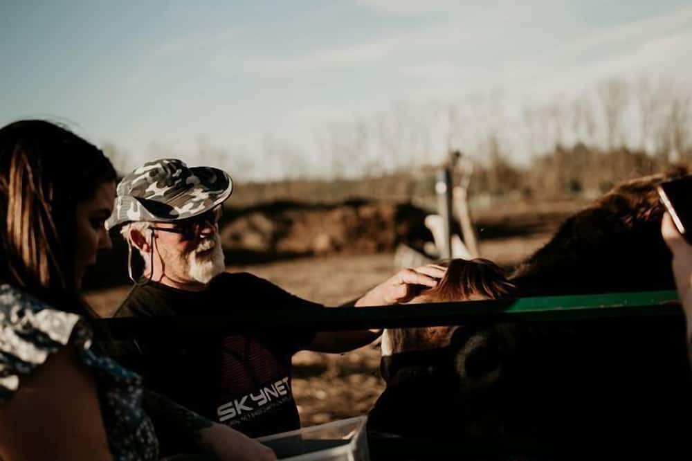 Markdale House | Pig-turesque Glamping Rental on an Animal Sanctuary for Ontario Getaway
