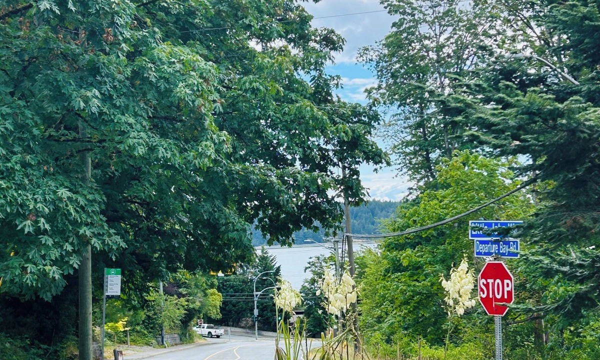 Departure Bay House | Private room with Sauna,Fireplace and Free parking near Departure Bay beach
