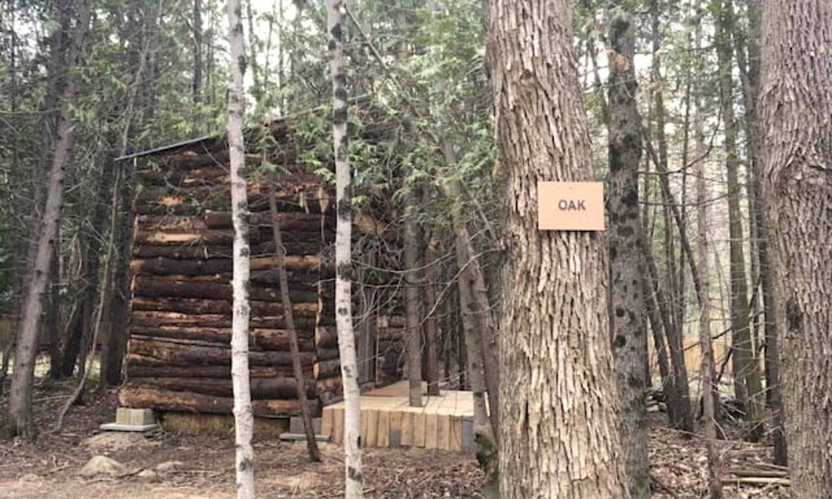 Markdale Cabin | Rustic Cabin Incredible for Hiking and Outdoor Lovers in Ontario