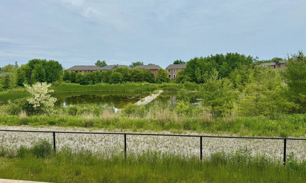 Stayner House | Spacious Waterfront Retreat near Blue Mountain & Wasaga Beach - All-Season Fun!