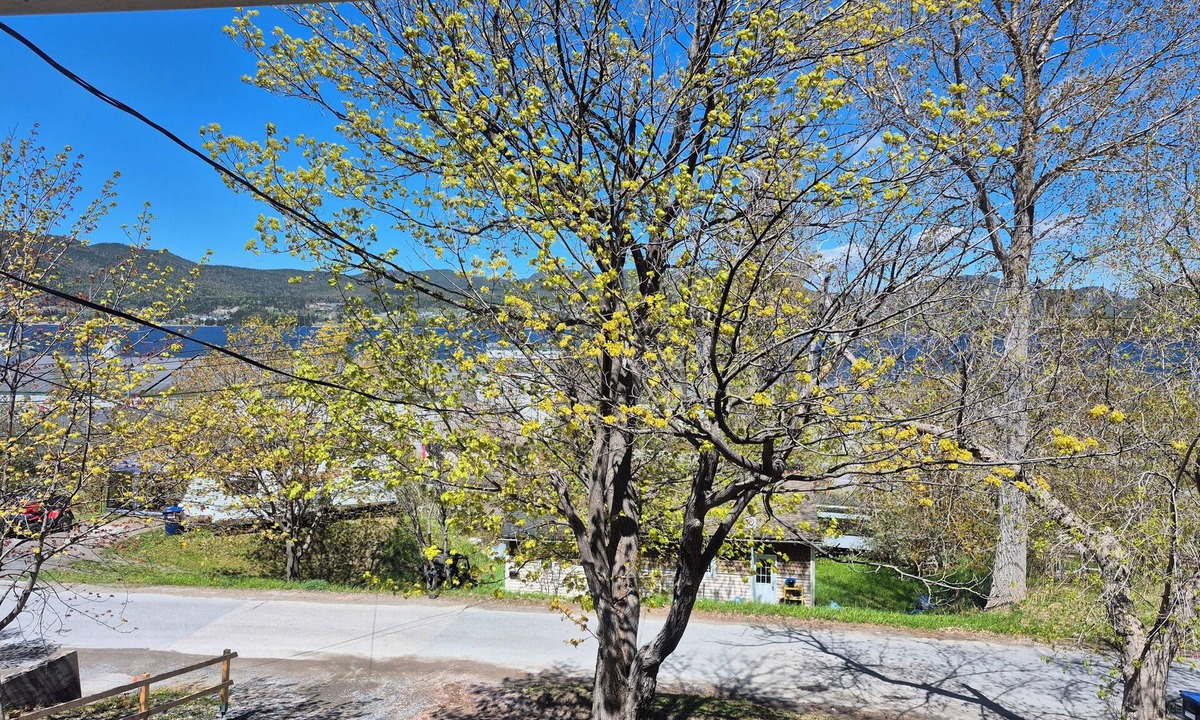 Corner Brook House | Stunning views of the bay and close to all amenities!