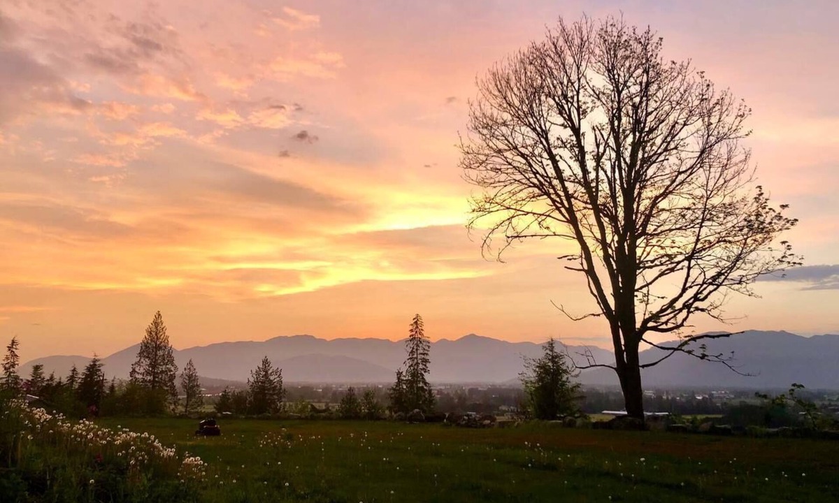Eastern Hillsides House | THE VIEW BNB Forest Retreat with Scenic Farm Views | 10 Min to Chilliwack