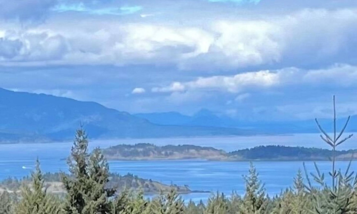 Regional District of Nanaimo House | Tree house in Nanoose Bay. Above the trees take in spectacular coastal views!