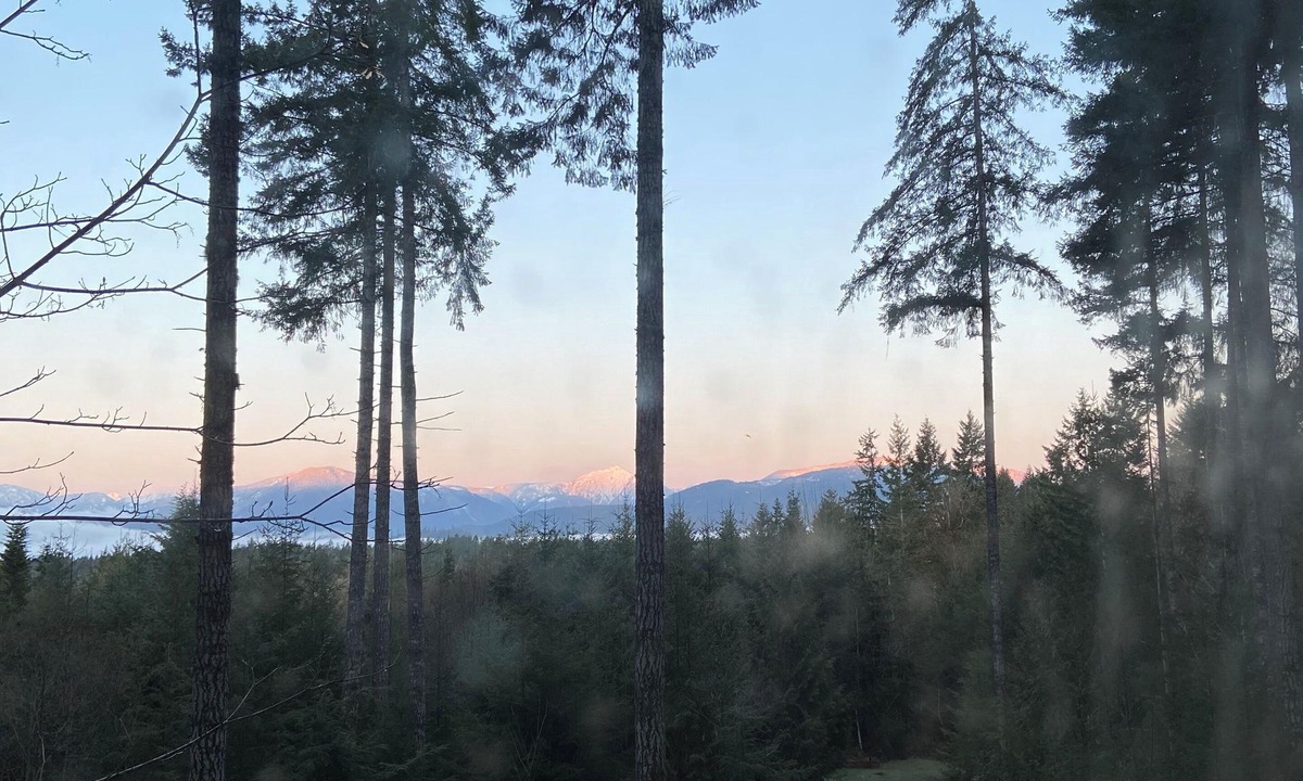Port Alberni Cottage | Unique West coast Cottage Nestled in the Woods