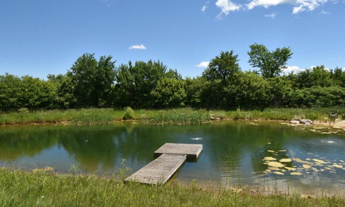 Terra Nova House | Winter ski/summer tennis & 2 ponds on 30 wooded acres, 7 km S of Creemore.