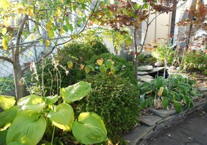Gorgeous 1BR House- Riverdale