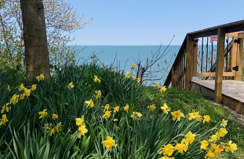 Dashwood Cottage | 4 bedroom, 4 season lakefront near Grand Bend (Lake Huron) with fire pit