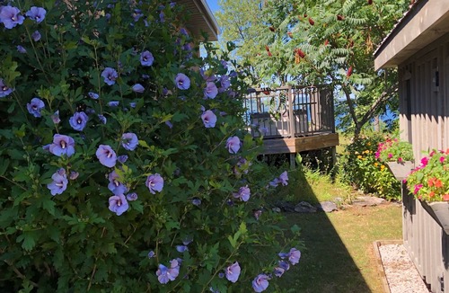 Big Bay Cottage | All season spectacular water view cottage overlooking Georgian Bay.