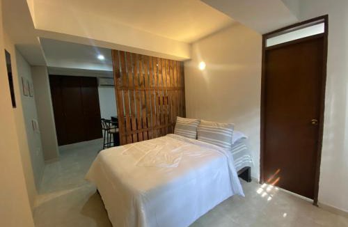 San Fernando Apartment | Alojamiento edificio Rosalba 201