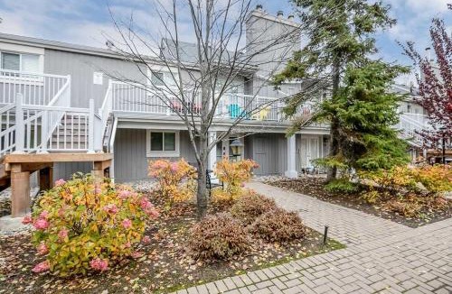 Collingwood House | Alpine Cove - Condo in Collingwood - Sleeps 6