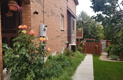 Aurora Apartment | Beautiful, bright walkout basement apartment, close to all amenities