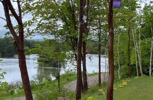 Cape Breton Island House | Beautiful Waterview Near Iona & Cabot Trail