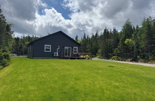 Bellevue Cottage | Birch & Bough Cottage - a private cottage surrounded by trees w/AC in Bellevue.