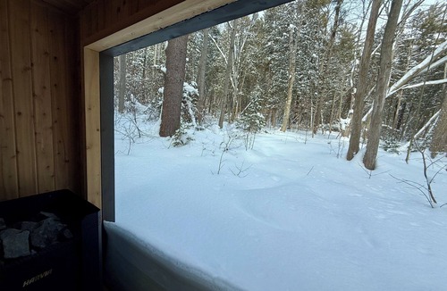 Colborne Cottage | Birch View Studio - A spacious and refined woodland retreat with sauna & hot tub