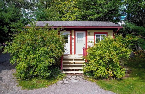 Saint Patrick Cabin | Charming Countryside Cabin. Pet-Friendly!
