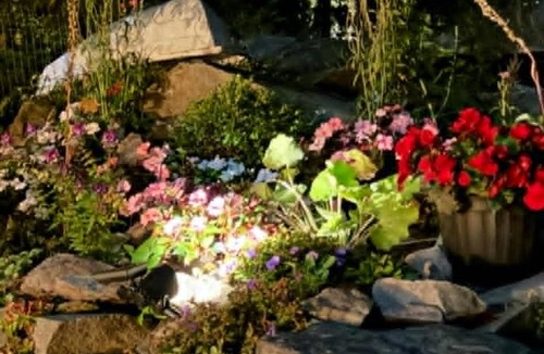Lords Cove House | Classic maritime living; islands, water, wildlife & quiet forest trails.relax