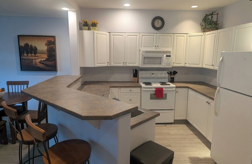 Cultural District Condo | Condo By the Lake-DB204