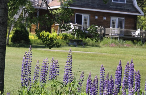 Baddeck Apartment | Cottage Suites with Great Deck.Overlooking nature and Baddeck Bay