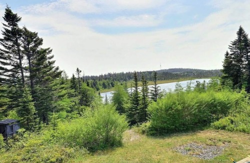 Harbour Main House | Cozy 2-bedroom bungalow in the country but minutes to the highway!