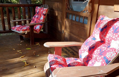 Havelock-Belmont-Methuen Cabin | Cozy off grid cabin tucked away in nature.