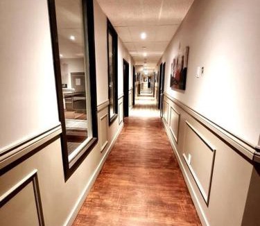 Downtown Gatineau Apartment | Cozy Sweet Studio #1, 10 minutes to D.T. Ottawa