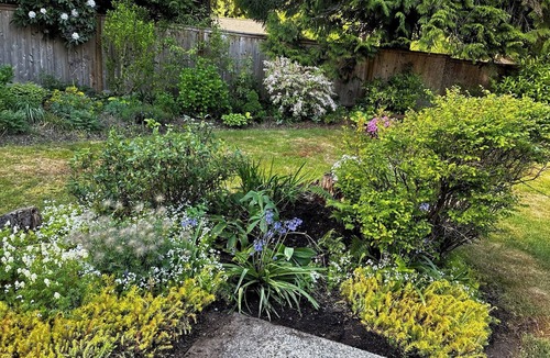 Canyon Heights House | Creekside oasis in Central North Vancouver neighborhood.