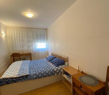 Emanoil Gojdu Apartment | Dulcinea Life
