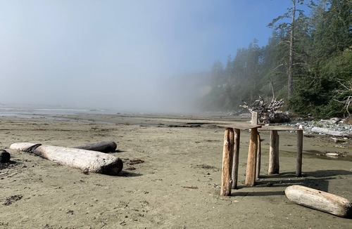 Ucluelet Cabin | Eagle Cabin - Brand new all wood 3 bedroom cabin