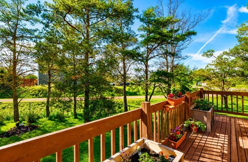 Summerside House | Entire Home -Wooded Trailside Retreat including Bikes, Pickleball Paddles & More