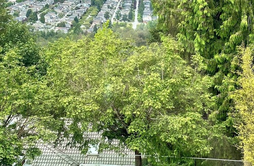 Burnaby House | Family Friendly Modern Luxury with Pool and Expansive City and Mountain Scapes