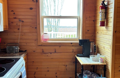 Borden-Carleton Cottage | Forest Shore Cottage - peaceful and relaxing location, fire pit, view of water.