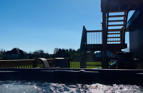 Port Albert House | HOT TUB, ROOFTOP PATIO AND SUNSET LAKE VIEWS! Dogs welcome!