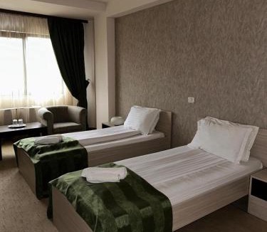 Emanoil Gojdu Hotel | Hotel Davos