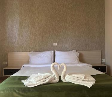 Emanoil Gojdu Hotel | Hotel Davos