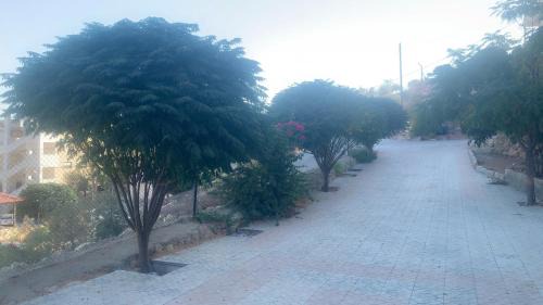 Jerash Apartment | Jerash Canopy
