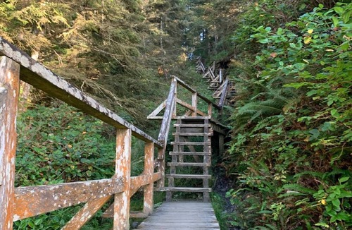 Ucluelet House | Large 1 bedroom suite close to beaches,trails with 4 beds
