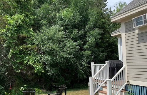 Cherry Valley House | Le Wapiti - 75 Butternut